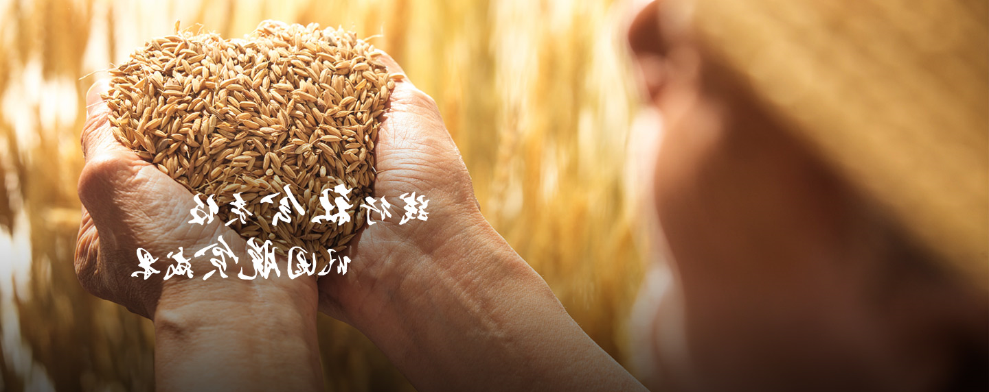 让幸福无处不在