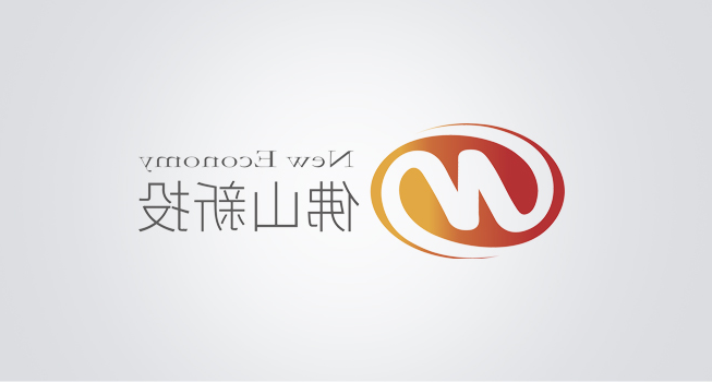 佛山市新经济投资发展有限公司
